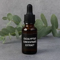 Eucalyptus Extract Concentrate 100 ml cosmetic ingredient Mylo Opt