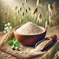 Seed Milk Oat Extract Powder 1 kg cosmetic ingredient Mylo Opt