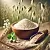 Seed Milk Oat Extract Powder 1 kg cosmetic ingredient Mylo Opt