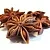 Flavor for groundbait Anise 1 L cosmetic ingredient Mylo Opt