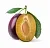 Plum Kernel Oil, 1 L, photos, reviews, use
