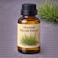 Horsetail Glycolic Extract 25 ml cosmetic ingredient Mylo Opt
