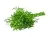 Dill Flavor Powder 1 kg cosmetic ingredient Mylo Opt