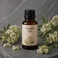 Crambe Oil 10 ml cosmetic ingredient Mylo Opt