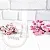 Liza bottle with plastic spray 10 ml from 100 pcs cosmetic ingredient Mylo Opt