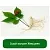 Ginseng Extract Powder 10% 1 kg, photos, reviews, use