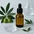 Water Soluble Olive Oil 25 ml, photos, reviews, use