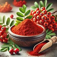 Сухой Экстракт Рябины, 1 кг описание и применение