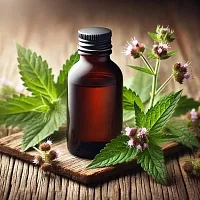 Motherwort Extract Concentrate 1 L