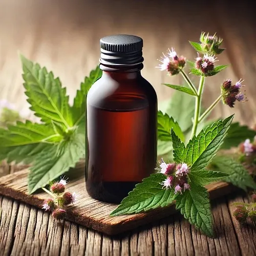 Motherwort Extract Concentrate 1 L, 269.50 UAH, rating ⭐⭐⭐⭐⭐ Milo Opt