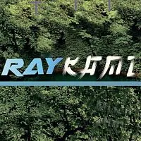 RAYKAMI PDO, 5 мл описание и применение