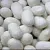 Silkworm cocoons cosmetic ingredient Mylo Opt