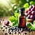 Grape Seed Extract Concentrate 50 ml, photos, reviews, use