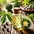 Castor Oil 50 ml, photos, reviews, use