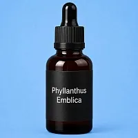 Phyllanthus Emblica, 5 грам