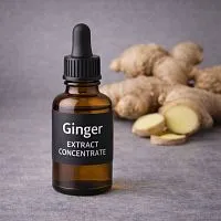 Ginger Extract Concentrate 100 ml cosmetic ingredient Mylo Opt