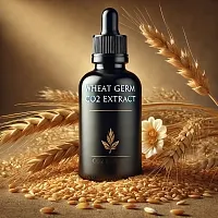 Wheat Germ CO2 Extract 100 g