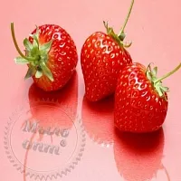 Flavor for dairy products Strawberry, 1 L