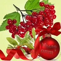 Віддушка Kringle Berry 50 мл