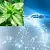 Menthol Liquid 1 L cosmetic ingredient Mylo Opt