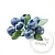 Food Flavor Blueberry (Ukraine) 1 L cosmetic ingredient Mylo Opt