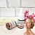 CO2 Extract Complex for Skin Brightening 5 g, photos, reviews, use