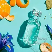 Fragrance Oil Tiffany & Co Tiffany 1 L cosmetic ingredient Mylo Opt