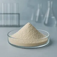 Hydrogenated Lecithin 1 кг