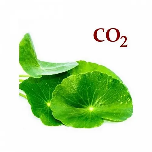 Centella CO2 Extract 5 g, 22.19 UAH, rating ⭐⭐⭐⭐⭐ Milo Opt