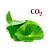 Centella CO2 Extract 5 g, photos, reviews, use
