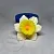 Silicone mold Narcissus, 3D, photos, reviews, use