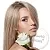 Салицинол, 1 л артикул TM22031302