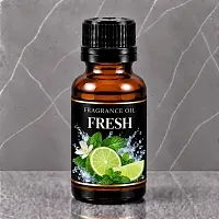 Fresh Fragrance Oil 25 ml cosmetic ingredient Mylo Opt