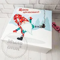 Коробка Максі Щось цікавеньке!
