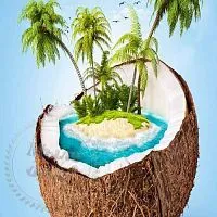 Сухая гранулированная отдушка Кокосовый Рай, 1 кг описание и применение