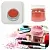 Metallic Powder Pigment Red 5 g, photos, reviews, use