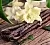 Fragrance Oil Vanilla pods 1 L cosmetic ingredient Mylo Opt