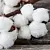 Пудра Хлопка Cotton Powder, 10 гр