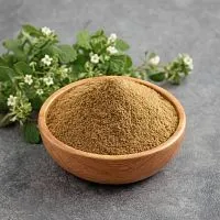 Порошок Мелиссы, 100 гр артикул VV23092704