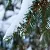 Borealine Protect, 1 л артикул TM20030219
