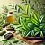 Fragrance Oil Tea tree, 25 ml, photos, reviews, use