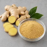 Ginger Extract Powder 10% 1 kg cosmetic ingredient Mylo Opt