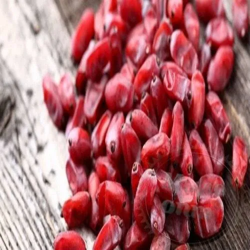 Barberry Fragrance Oil 1 L Mylo Opt global supplier Barberry Fragrance Oil 1 L cosmetic ingredient Mylo Opt