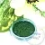 Green Cosmetic Pigment 10 g cosmetic ingredient Mylo Opt
