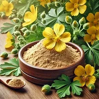 Сухой экстракт Чистотела, 1 кг описание и применение