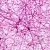 Connective Tissue Restorer, 100 мл описание и применение
