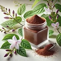 Экстракт Ортосифона сухой, 1 кг описание и применение