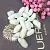 Silkworm cocoons cosmetic ingredient Mylo Opt