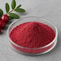 Cranberry Extract Powder 10 g cosmetic ingredient Mylo Opt