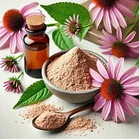 Сухой экстракт Эхинацеи 10%, 1 кг описание и применение